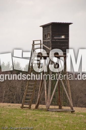 Hochstände (140 von 154).jpg